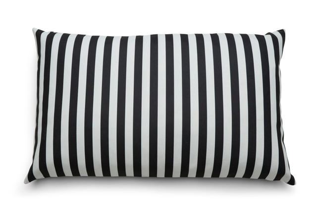 Dapper Cushions 50-80